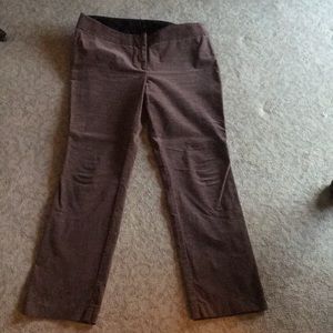 LOFT Plush Velour Skinny Pants